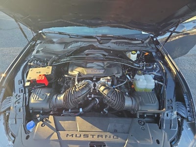 2025 Ford Mustang Dark Horse
