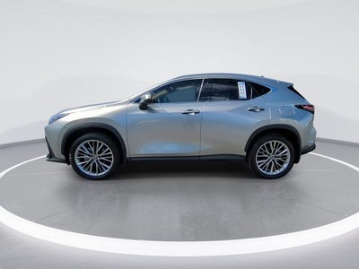 2025 Lexus NX 350h Premium