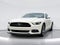 2015 Ford Mustang GT 50 Years Limited Edition
