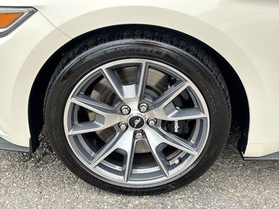 2015 Ford Mustang GT 50 Years Limited Edition