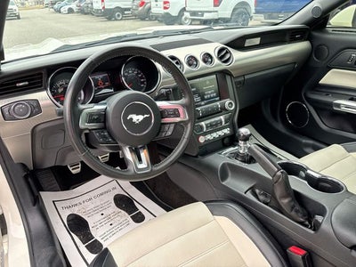 2015 Ford Mustang GT 50 Years Limited Edition