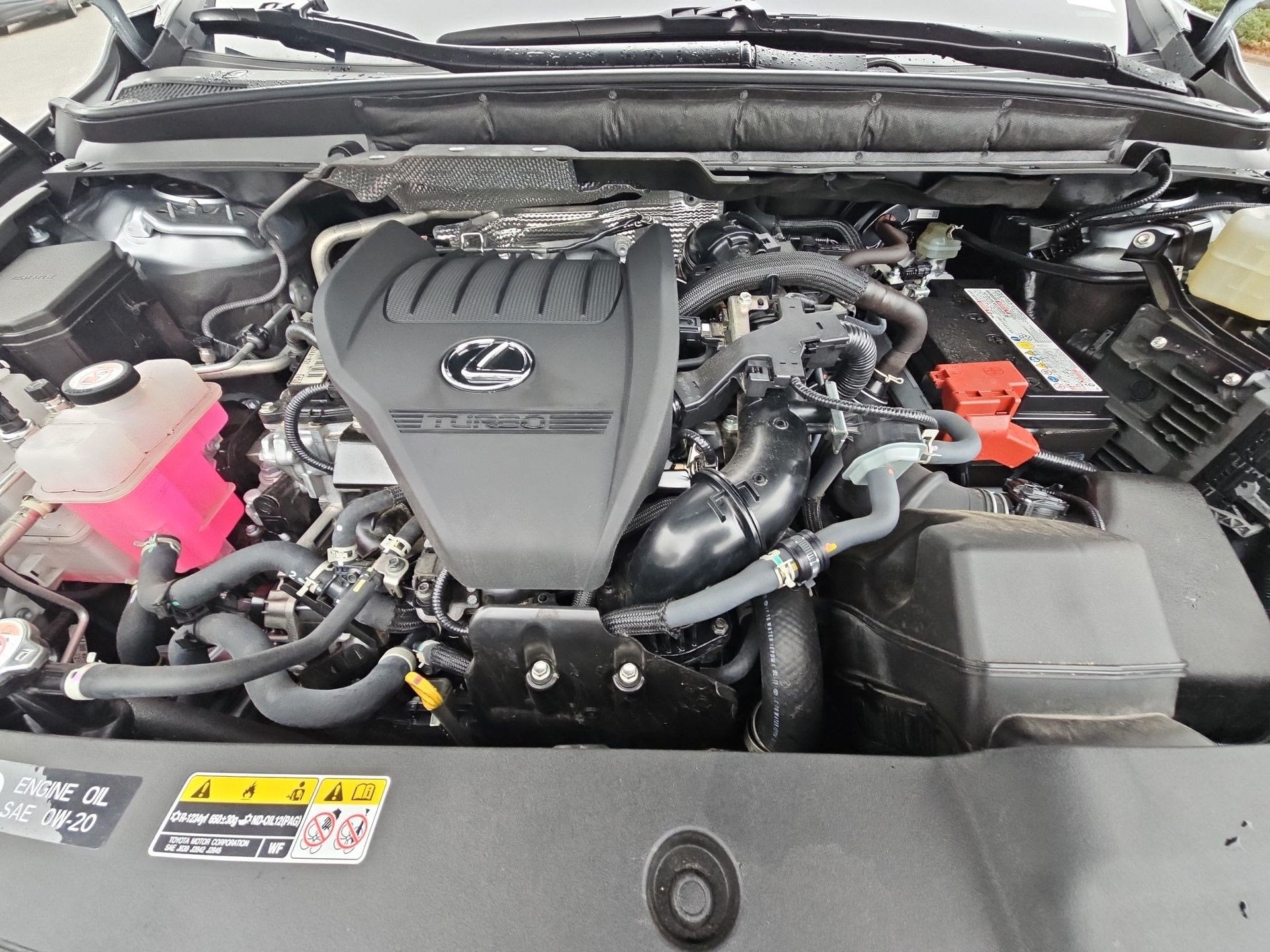 2023 Lexus RX 350 Premium Plus