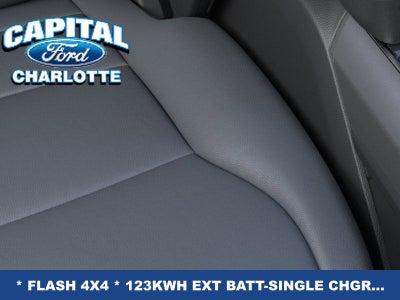 2025 Ford F-150 Lightning Flash™