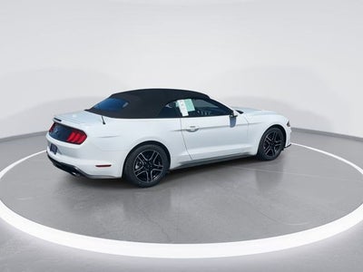 2023 Ford MUSTANG Premium