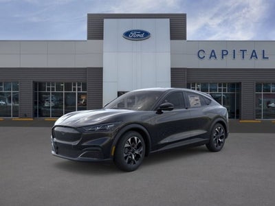 2026 Ford MUSTANG MACHE Select
