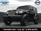 2017 Jeep Wrangler Sahara