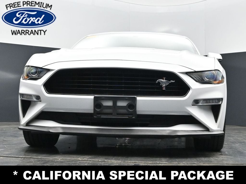 2019 Ford Mustang GT Premium