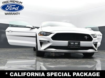 2019 Ford Mustang GT Premium