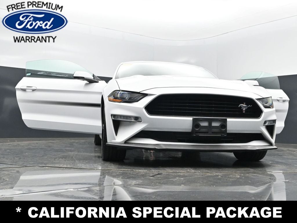2019 Ford Mustang GT Premium
