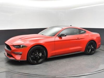 2023 Ford Mustang EcoBoost