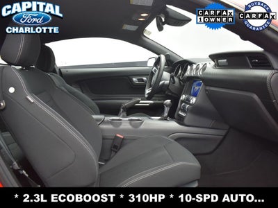 2023 Ford Mustang EcoBoost