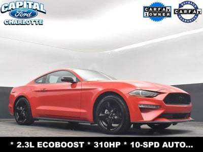 2023 Ford Mustang EcoBoost