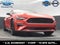 2023 Ford Mustang EcoBoost