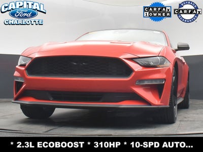 2023 Ford Mustang EcoBoost