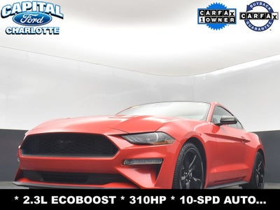 2023 Ford Mustang EcoBoost