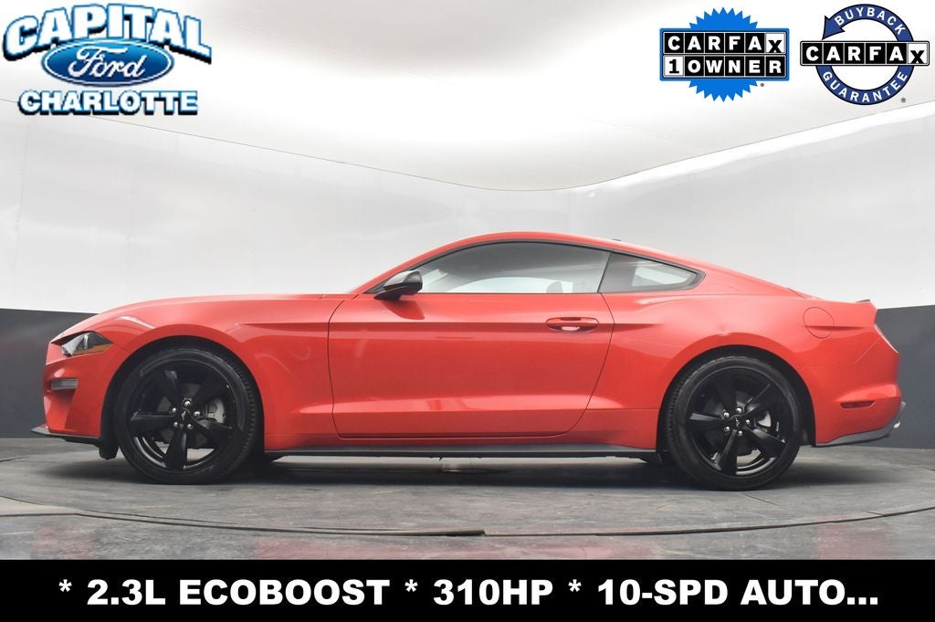 2023 Ford Mustang EcoBoost