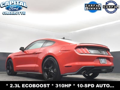 2023 Ford Mustang EcoBoost