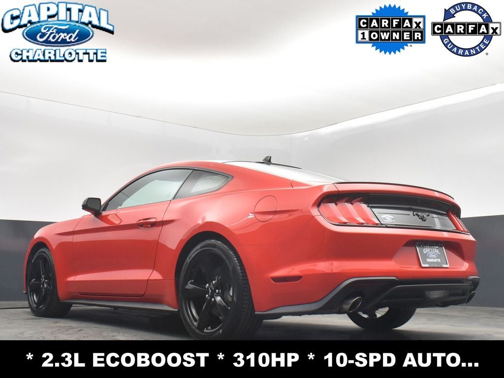 2023 Ford Mustang EcoBoost