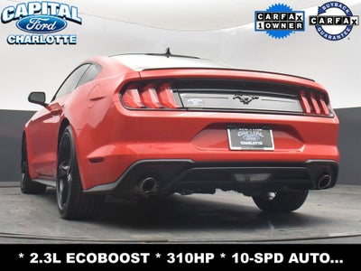 2023 Ford Mustang EcoBoost