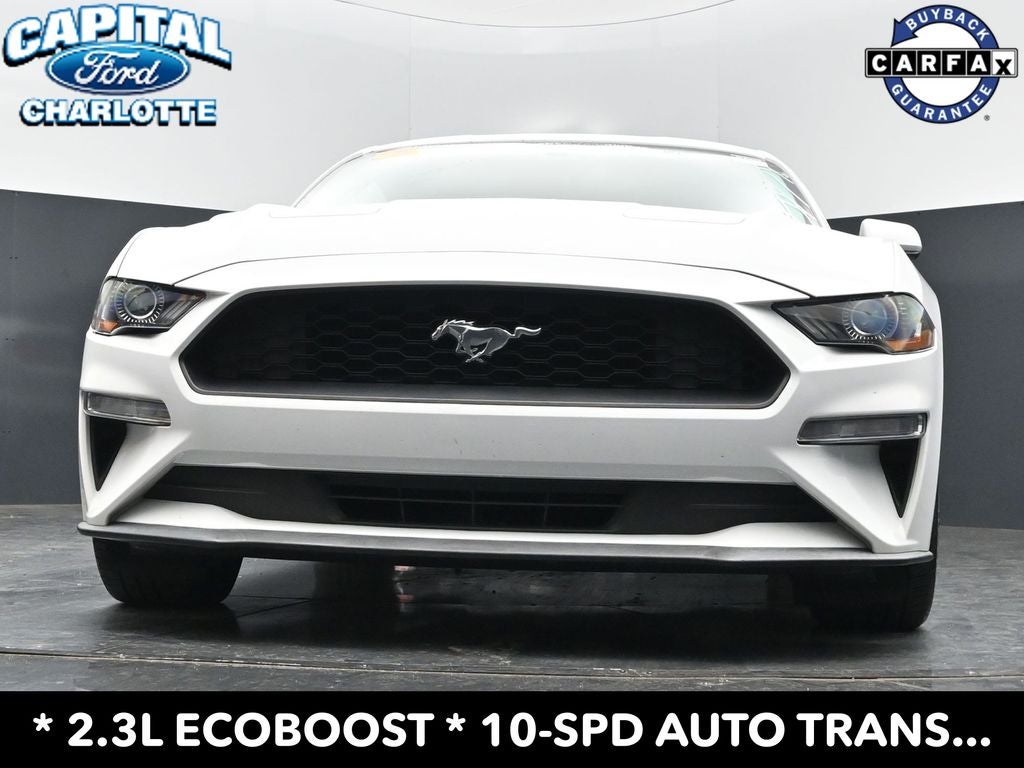 2019 Ford Mustang EcoBoost