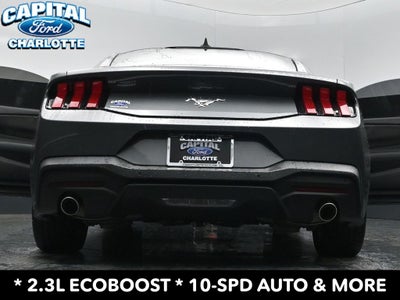 2025 Ford Mustang EcoBoost