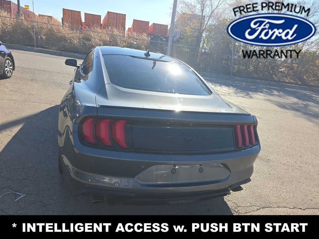 2022 Ford Mustang EcoBoost