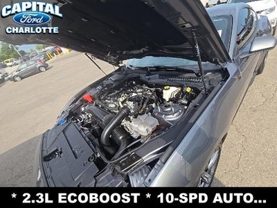 2025 Ford Mustang EcoBoost