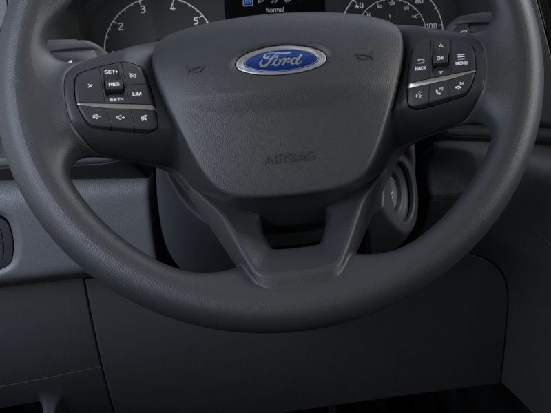 2025 Ford Transit Commercial Passenger Van XLT