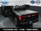 2025 Ford F-150 Lightning Platinum