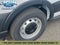 2025 Ford Transit Commercial Cargo Van