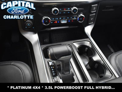 2025 Ford F-150 Platinum