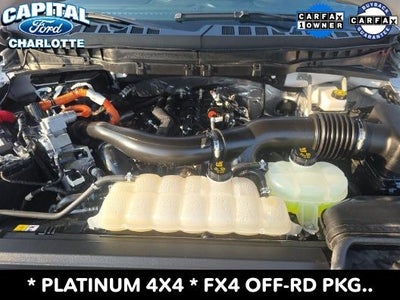 2025 Ford F-150 Platinum