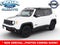 2017 Jeep Renegade Deserthawk