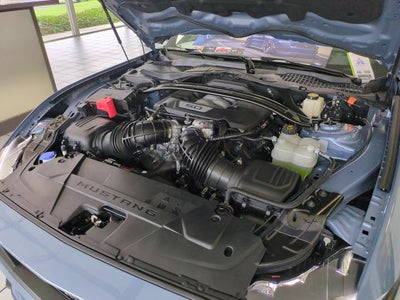 2024 Ford Mustang Dark Horse