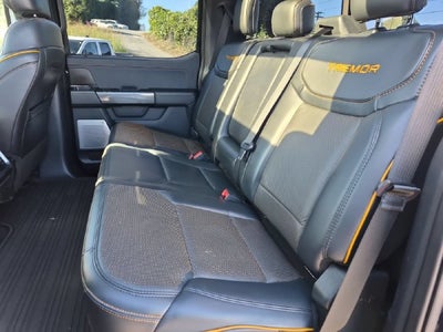 2021 Ford F-150 Tremor