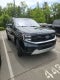 2025 Ford Expedition Platinum Ultimate Package