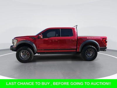 2021 Ford F-150 Raptor SHELBY