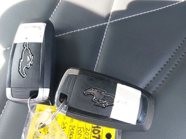 2025 Ford Mustang Mach-E Select