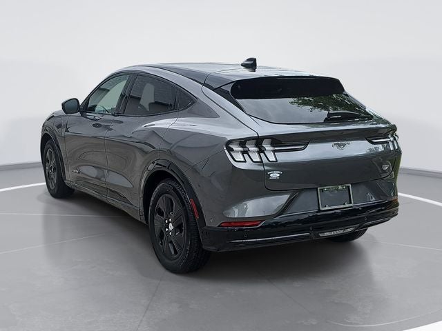 2023 Ford Mustang Mach-E California Route 1