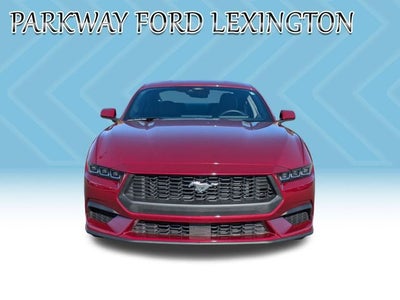 2025 Ford Mustang EcoBoost