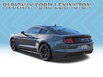 2022 Ford Mustang EcoBoost