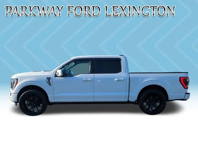 2022 Ford F-150 Platinum