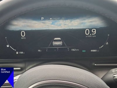 2024 Kia Carnival SX
