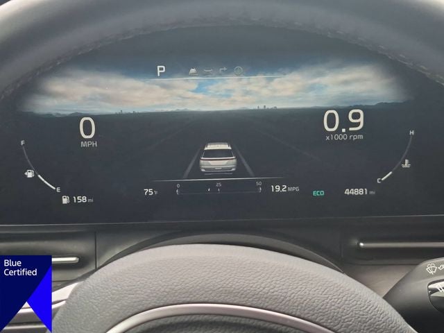 2024 Kia Carnival SX